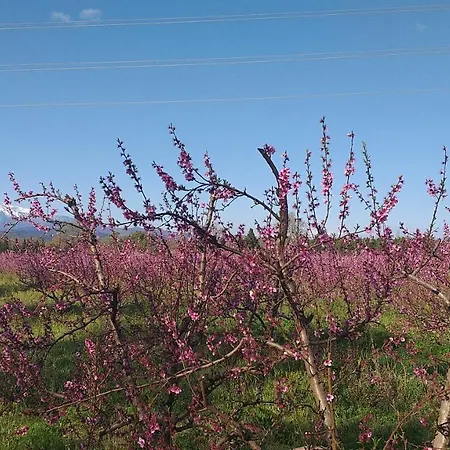 Lejlighed Du Mas Arnaud Thuir